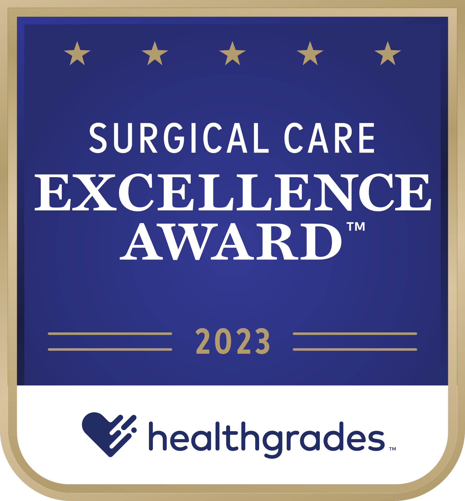 Surgical Care Excellence 2023