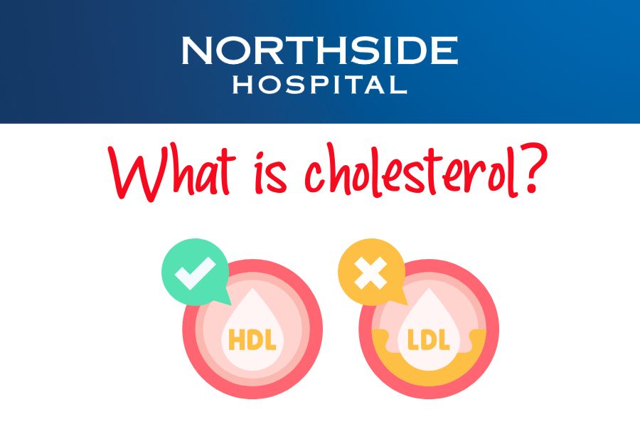 Cholesterol (3 x 2 in)
